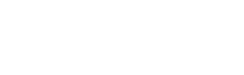 Nederlandse Audiovisuele Producenten Alliantie