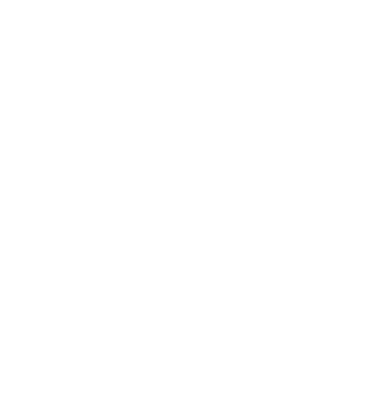 Nederlands Film Festival