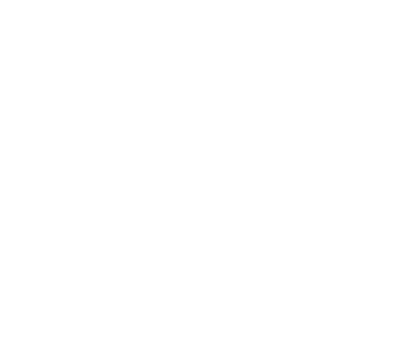 Netwerk Scenarioschrijvers